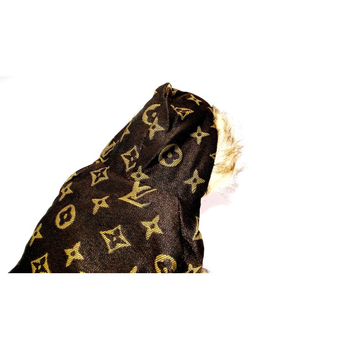 Sudadera capucha Louis Vuitton